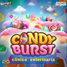 clinica veterinaria cuidar betim